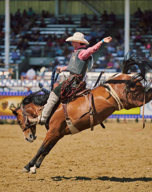 Rodeo