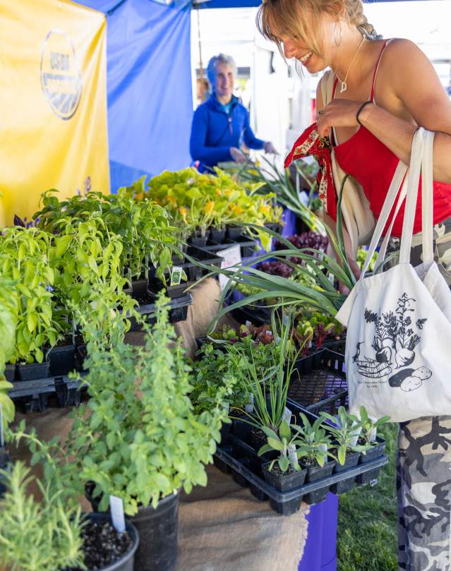JH Farmers Market