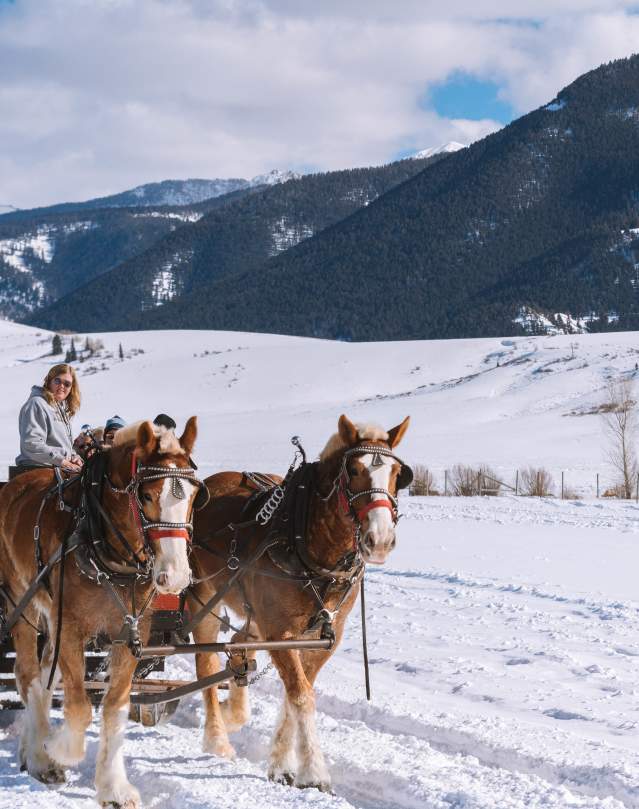 Elk Refuge Sleigh Ride