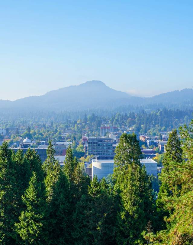 View from Skinner Butte 2021