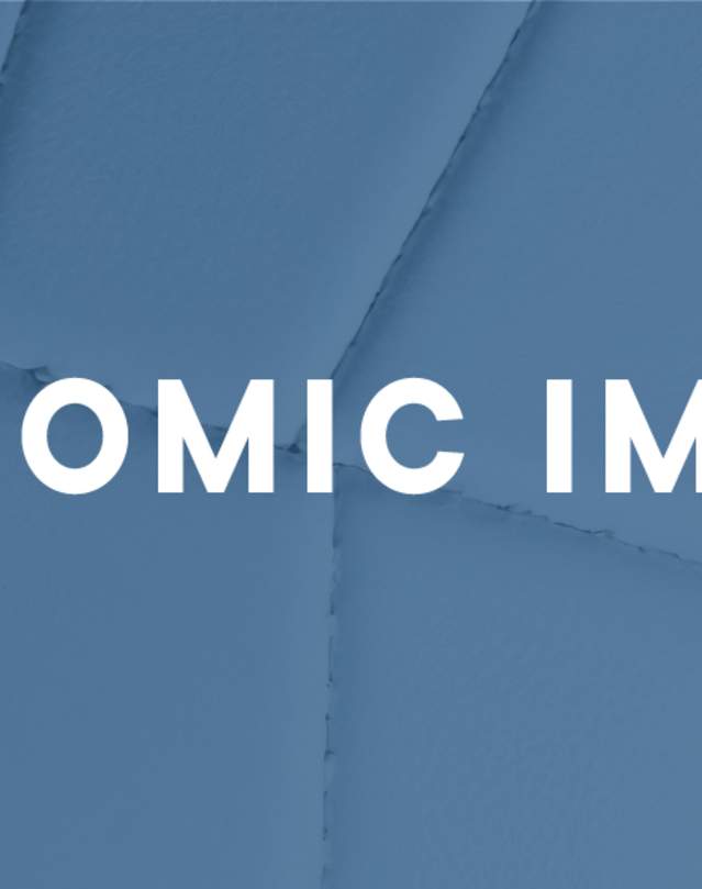 Blue sports ball graphic with white words Economic Impact across it.