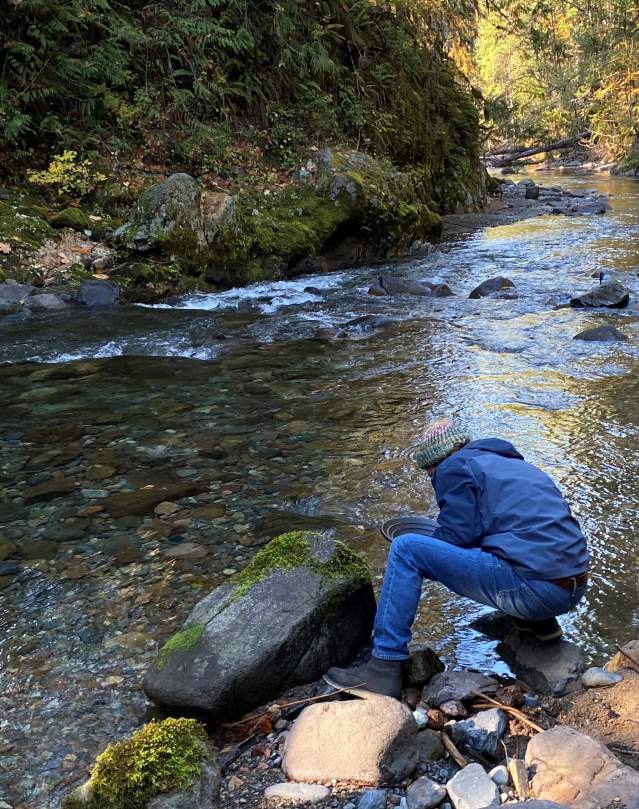 Gold panning at Brice Creek