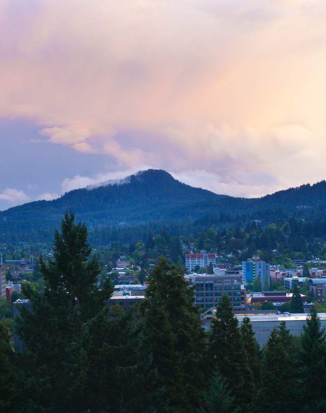 View from Skinner Butte
