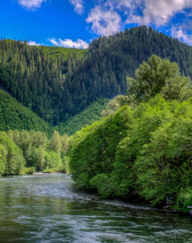 McKenzie River, Oregon Cascades by Mike Shaw