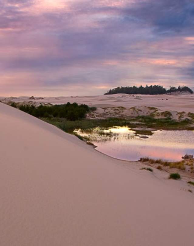 Oregon Dunes National Recreation Area, Florence, Oregon Coast by Curt Peters