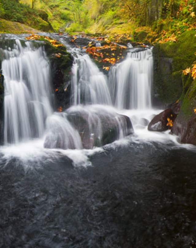 Sweet Creek Falls in Autumn