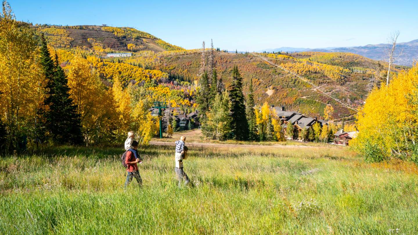 The Best Fall Hiking in Town Park City UT