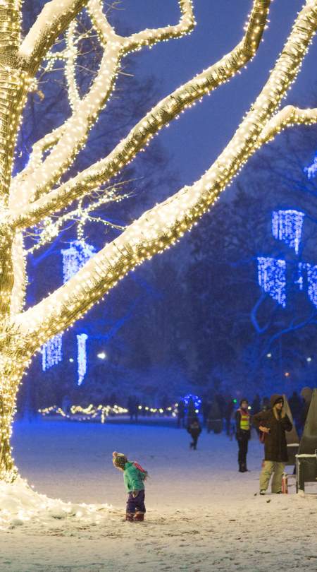 Winterlights