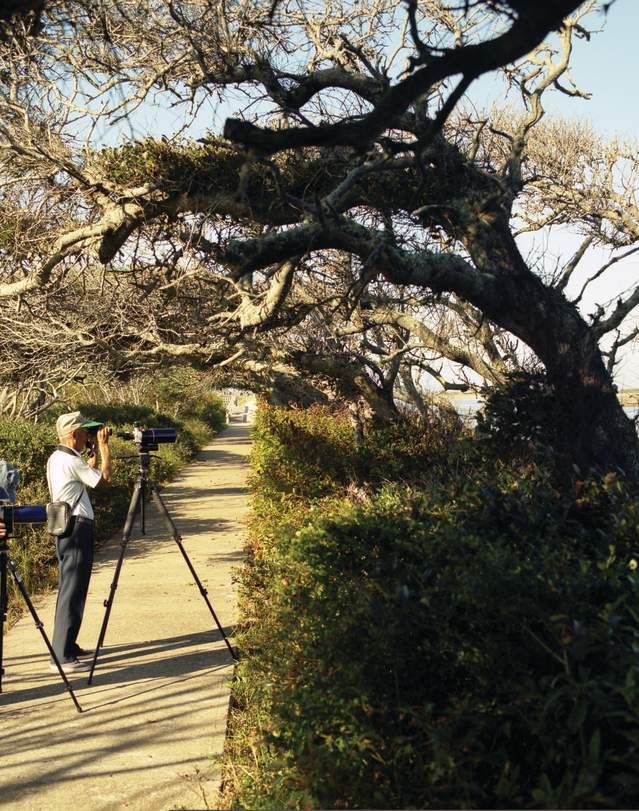 birders at pea island wildlife refuge