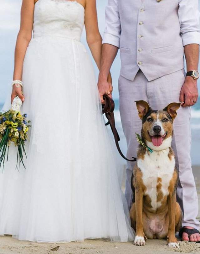 Newlyweds With Their Dog On A Beach On The Outer Banks Of NC