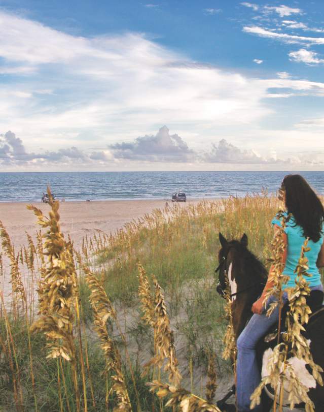horseback riding beach sea oat