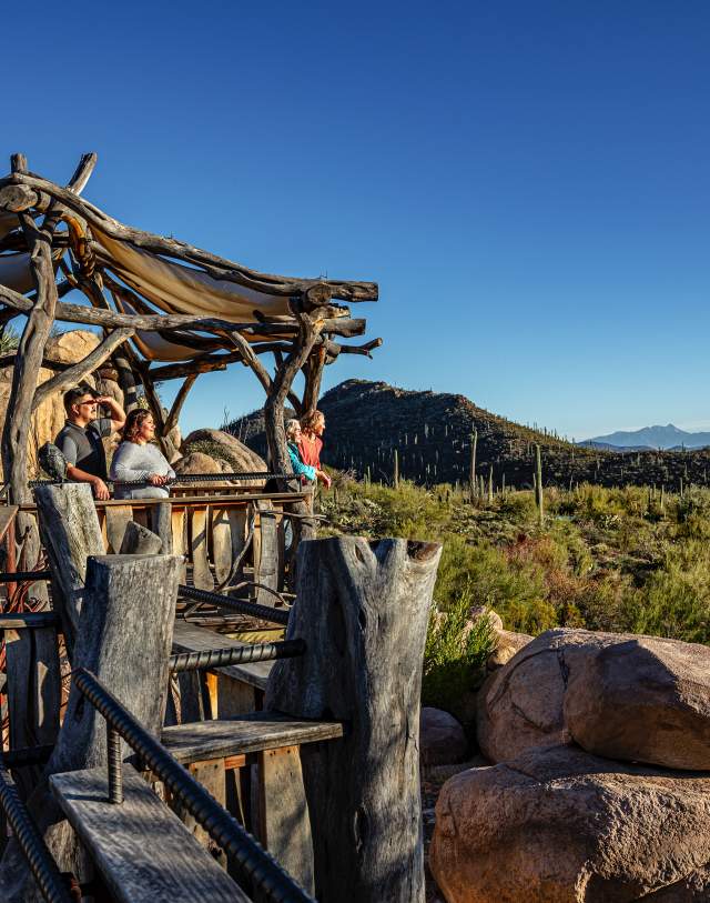 Things To Do In Tucson, AZ | Culture, Nature & History