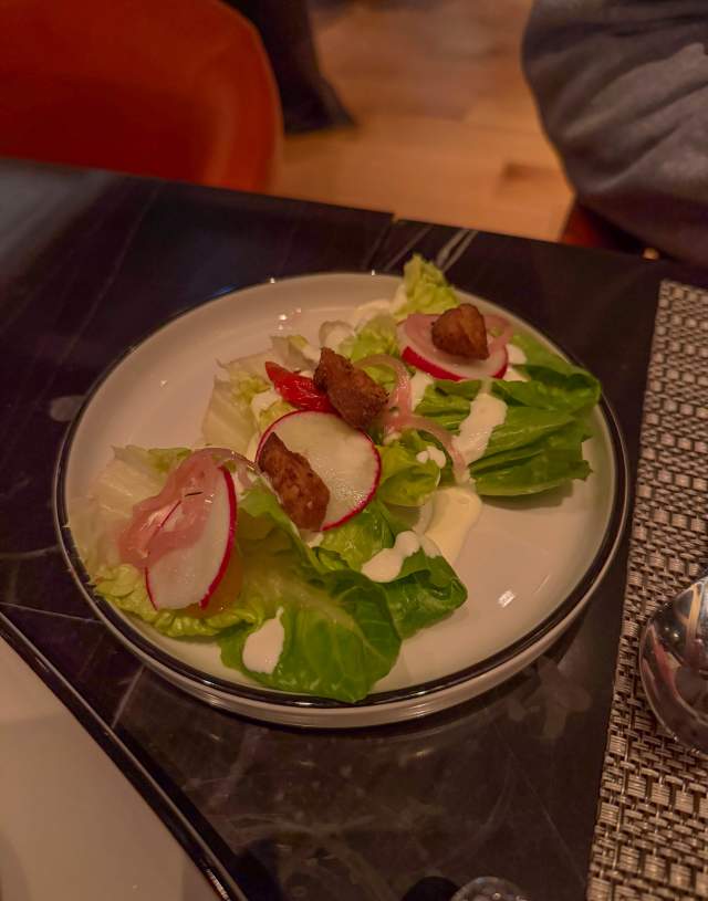 Artfully arranged salad greens with radish slices and a white dressing.