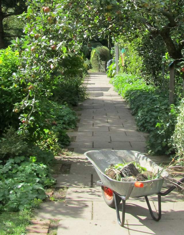 Martineau Gardens Header