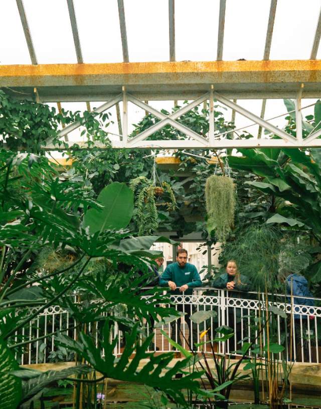 VB - Birmingham Botanical Gardens