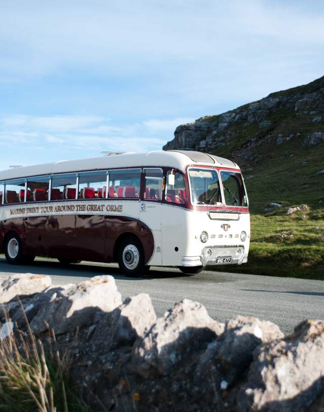 Cream and burgundy vintage coach travelling round the Great Orme