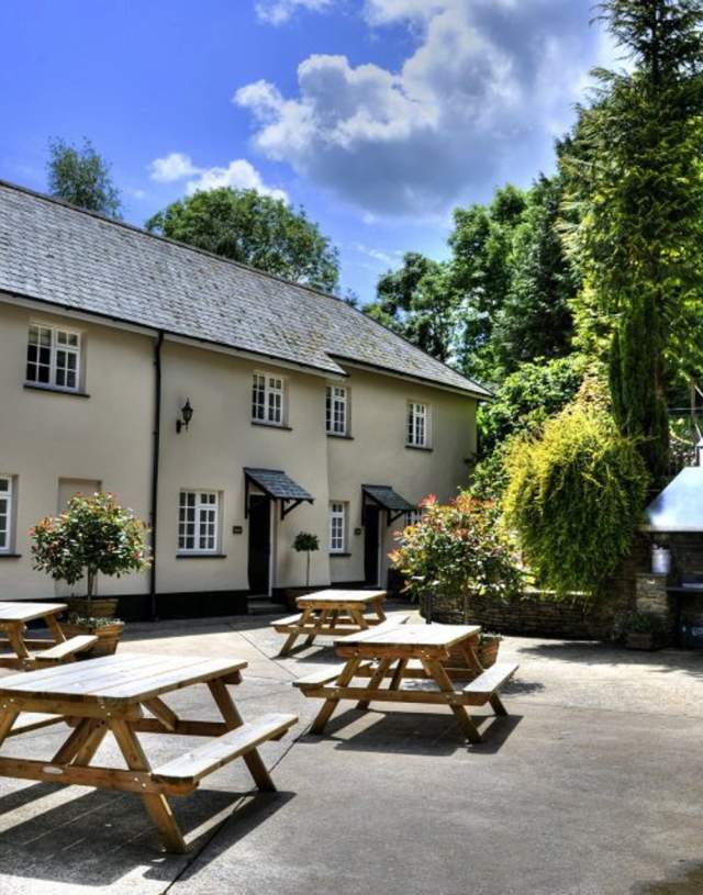 Sunny courtyard with wooden picnic tables and potted trees, adjacent to a light-coloured building with multiple windows. A serene and inviting outdoor space.