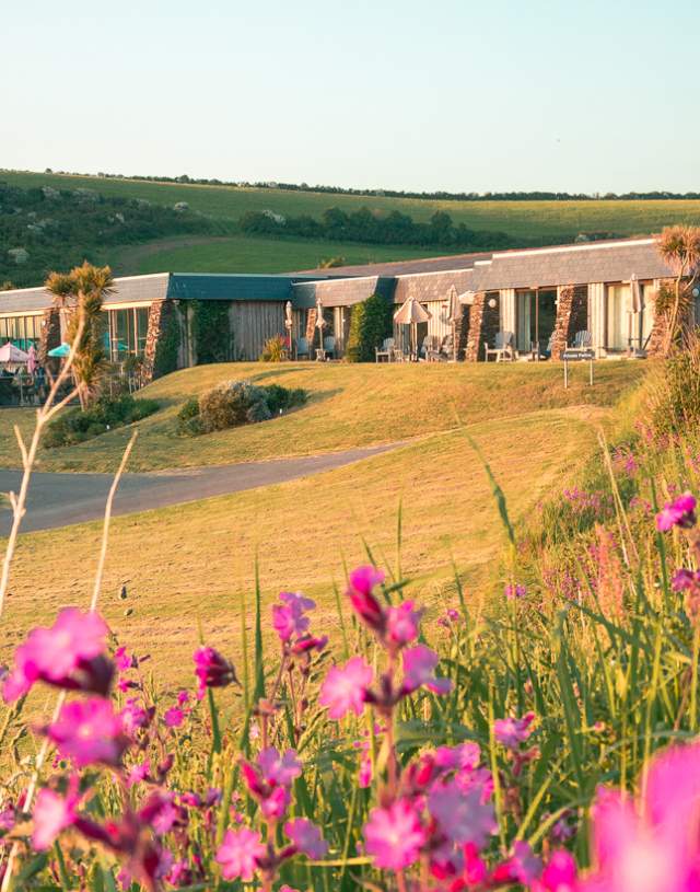 Field with vibrant pink flowers in the foreground, a modern building with a terrace on a lush hillside, and a backdrop of rolling green hills under soft sunlight.