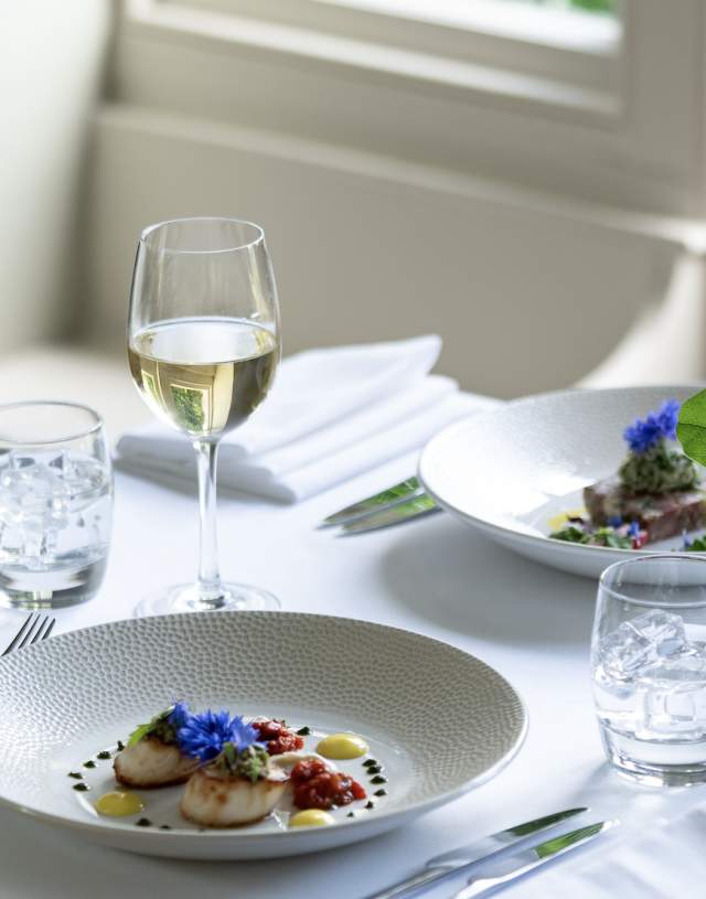 Elegant dining scene with a white tablecloth, a plate of scallops, a glass of white wine, and a small vase with green leaves. Sunlight streams in softly.