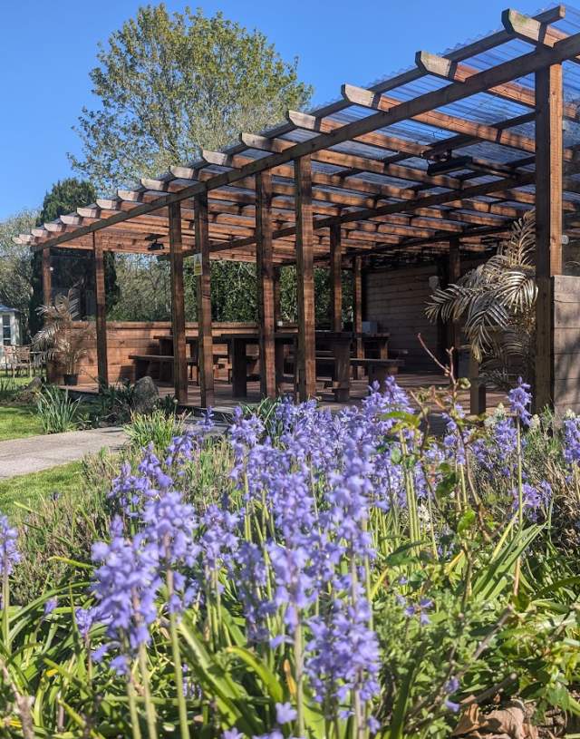 A wooden pergola with seating stands under a clear blue sky. Purple flowers bloom in the foreground, with a small white building on a green lawn nearby.