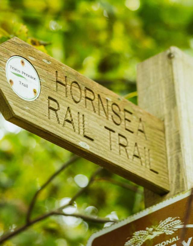 The fingerpost for the Hornsea rail trail with bushes behind.
