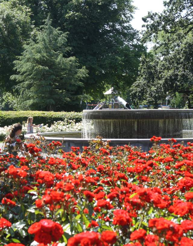Kerry_Tralee_Rose_Garden_Tralee_Town_Park