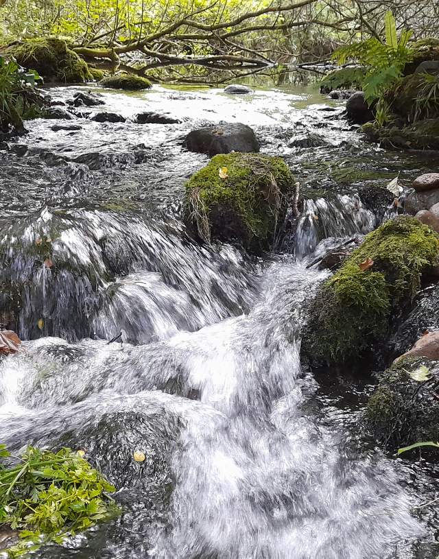 blue pool at muckross, Killarney