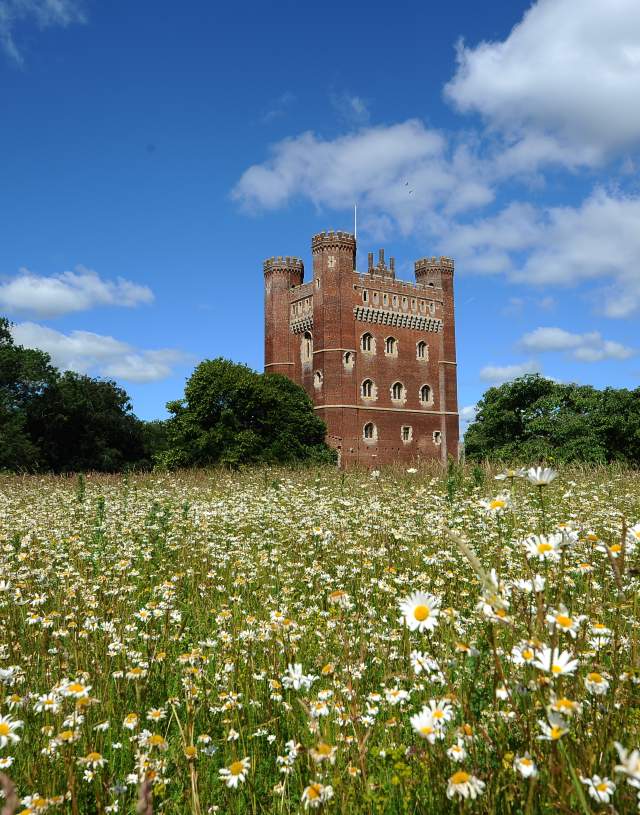 A view of Tattershall Castle rising from a field of daisies, under a bright blue sky