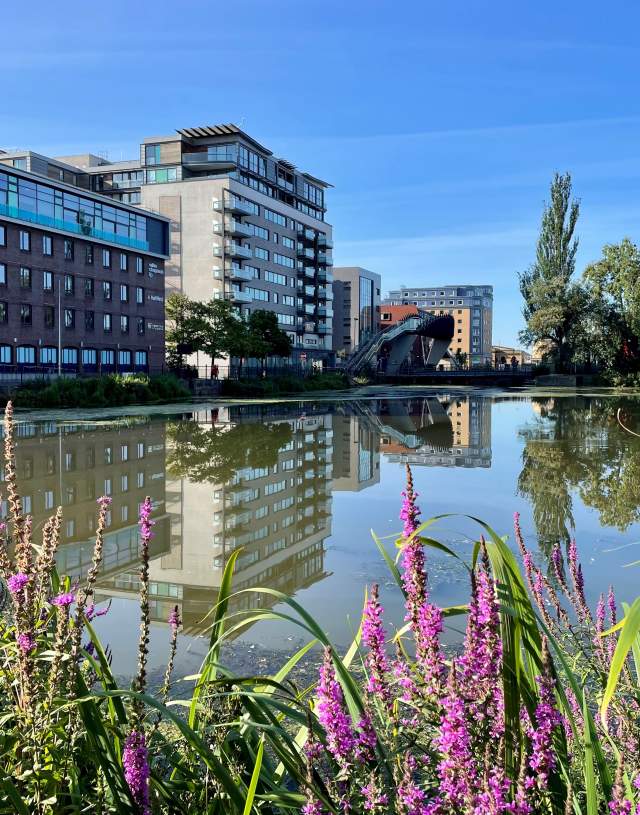A view of the Brayford Waterfront, with a reflection of modern buildings in the water