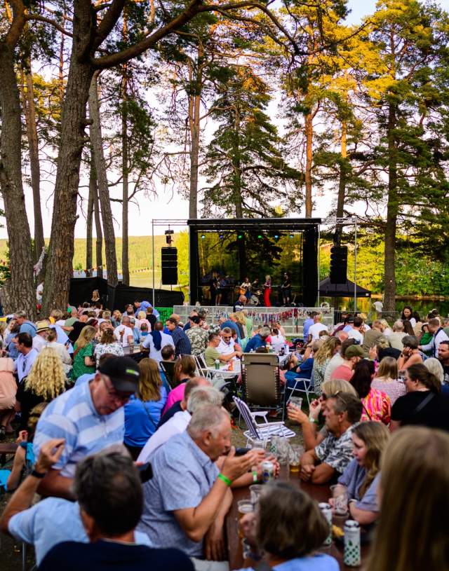 Bilde fra en konsert under Fest i Va
