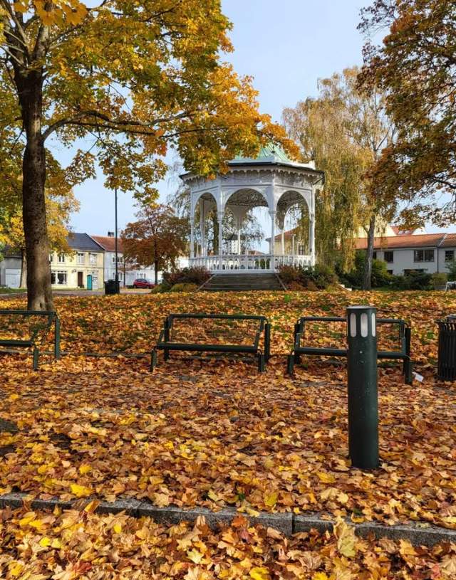 Høst i Busterudparken