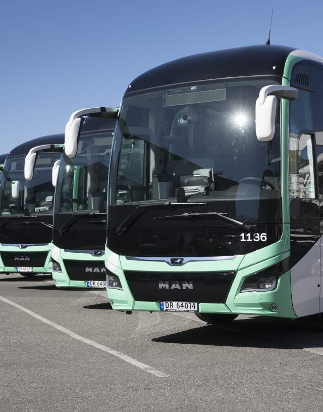 Many buses in one parking lot