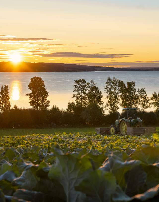 Utsikt mot Mjøsa på Vang Gård