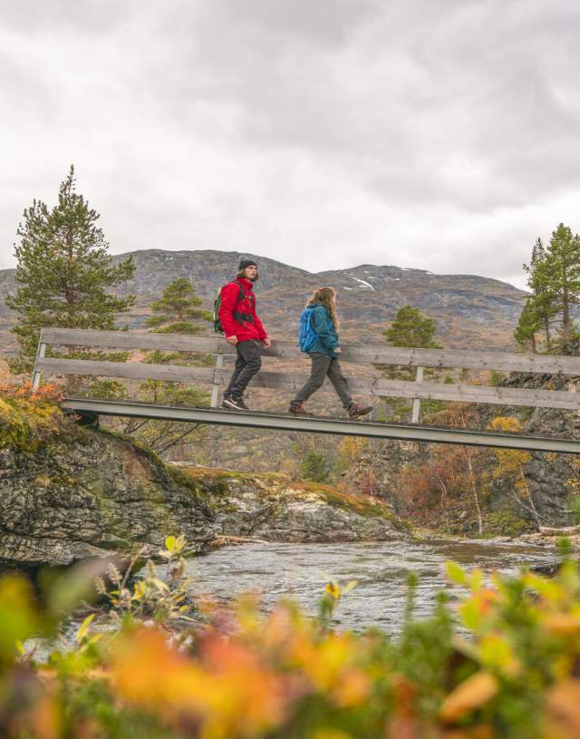 Hiking in Vettismorki, Årdal