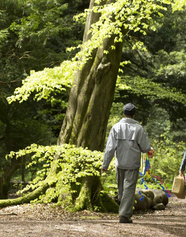 A walk at Box Hill