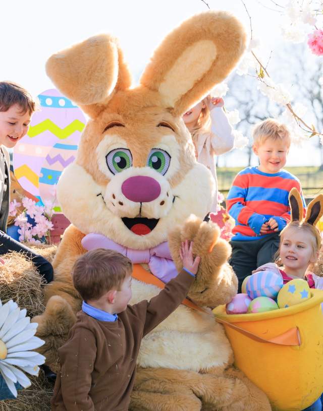 Easter at Bocketts Farm