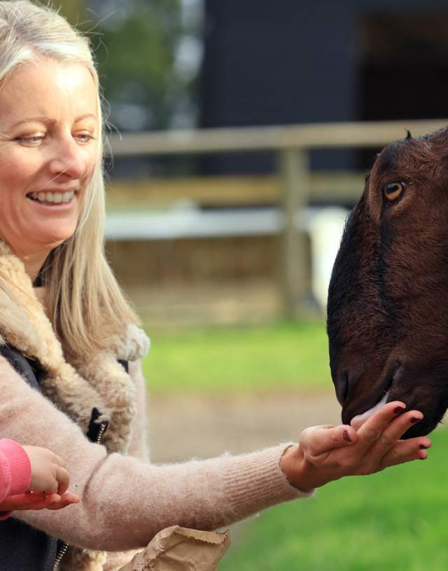 A women and girl feeding a goat at Bocketts Farm