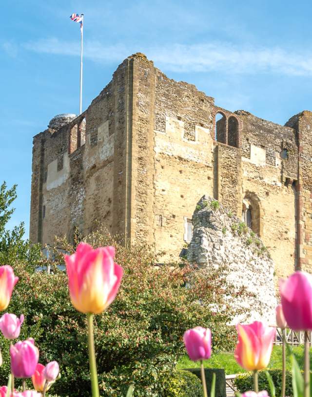 Guildford Castle and Grounds in Spring