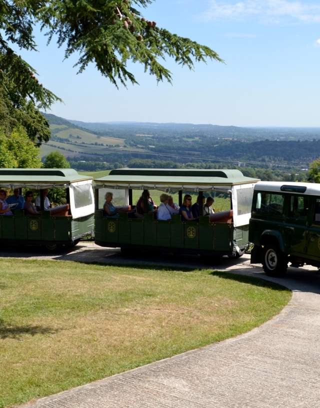 Denbies vineyard tours
