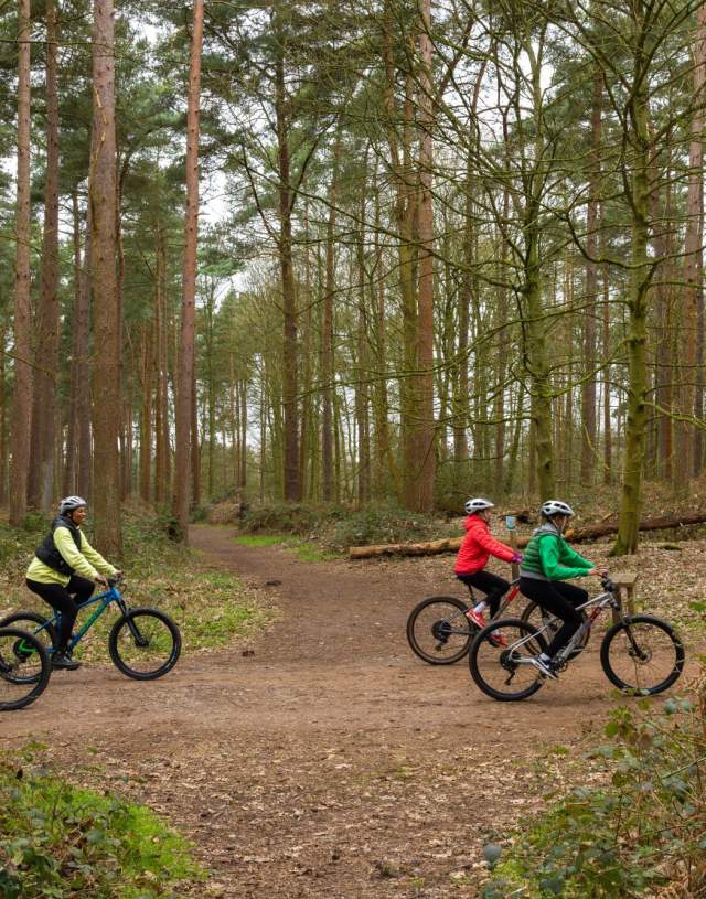 Forest Bike Hire - Alice Holt Go Ape