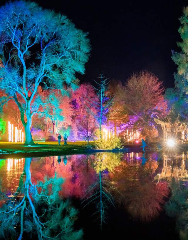 RHS Wisley - Glow