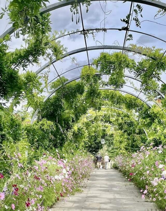 RGS Garden Wisley in the Summer
