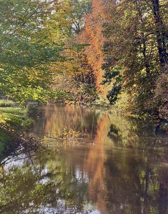 The River Wey near Guildford in Autumn