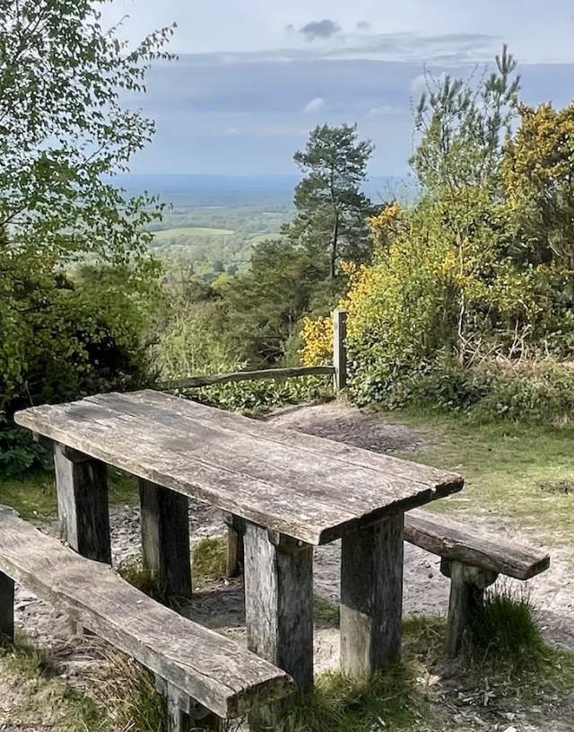 Picnic with a view - Leith Hill in the Surrey Hills