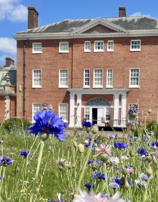 HATCHLANDS PARK IN THE SUMMER