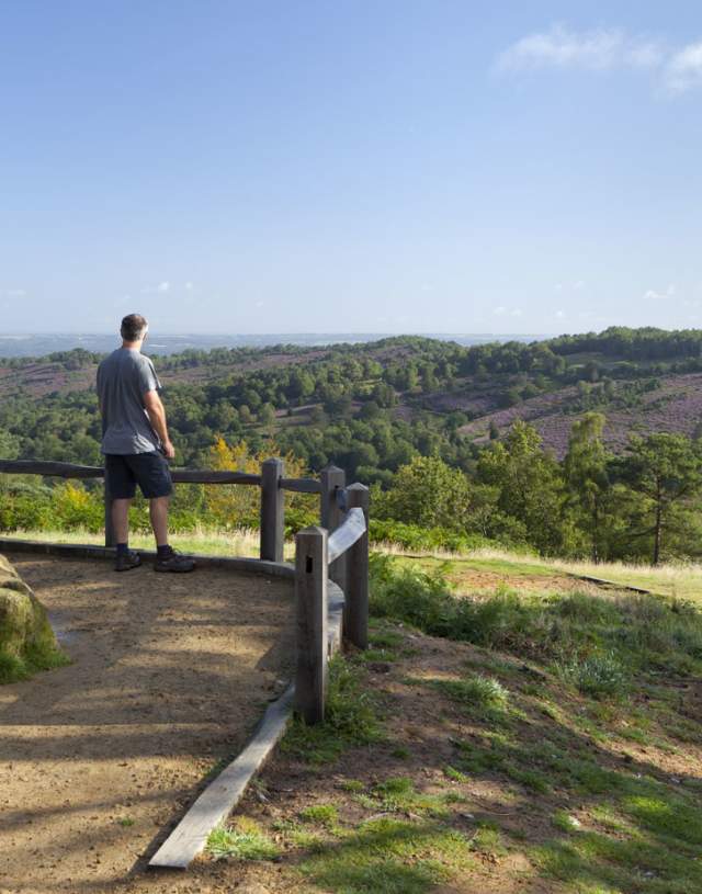 The viewpoint at Devils Punchbowl - Image credit: National Trust