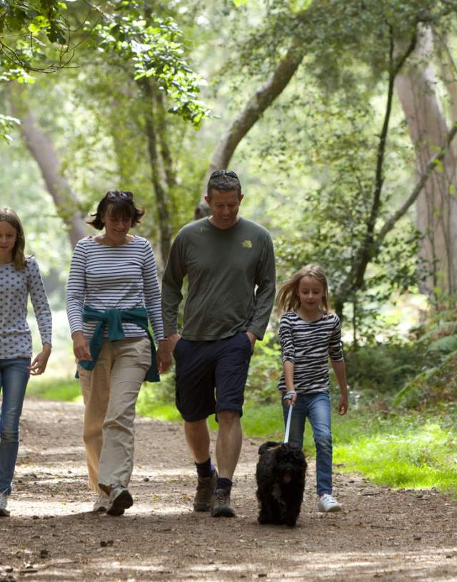 Walking at Devils Punchbowl  - image credit National Trust