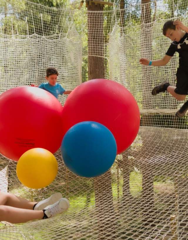 Go Apes Alice Holt Nets