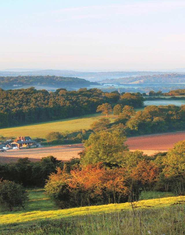 A scenic view of Newlands Corner in Autumn