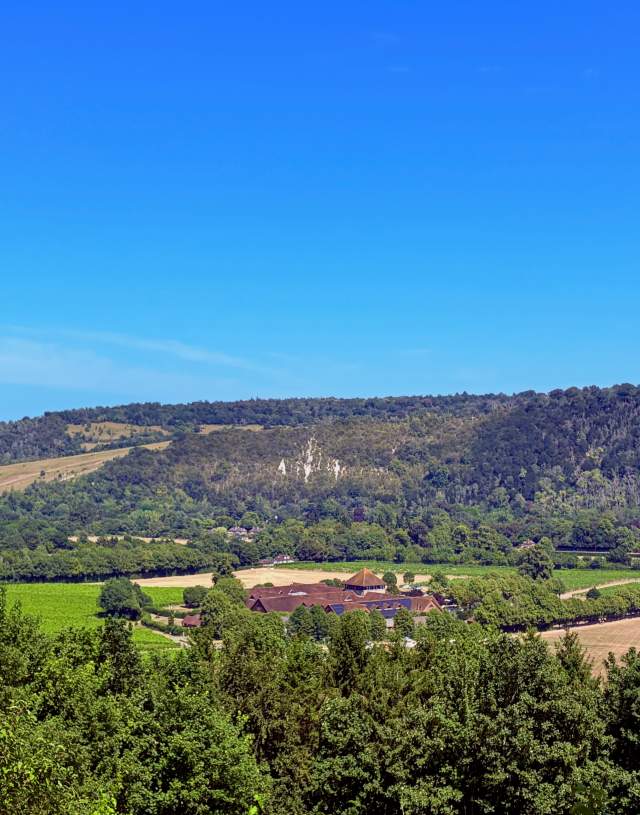 Overlooking Denbies